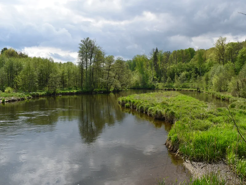 2 🚣 MIKO Gródek - spływy kajakowe Wdą 🛶