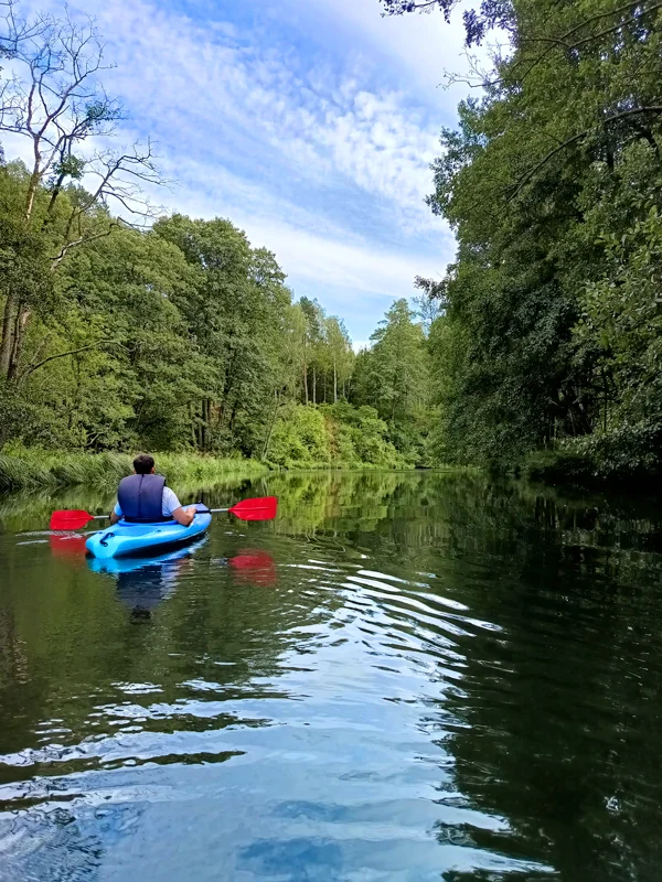 6 1 🚣 MIKO Gródek - spływy kajakowe Wdą 🛶