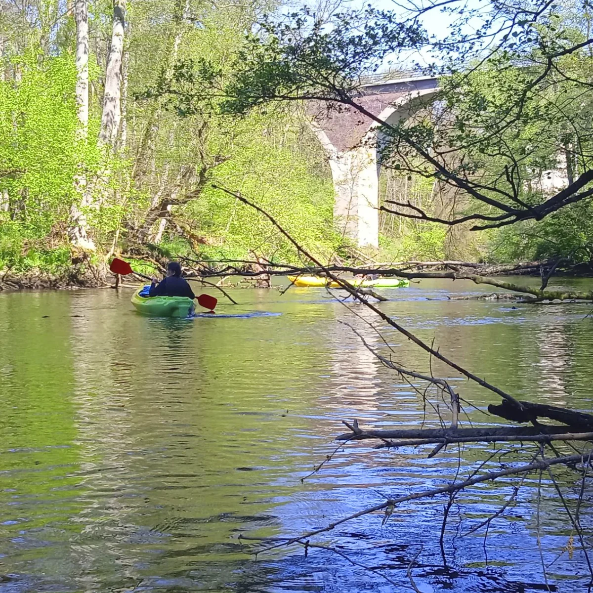 naglowek kwadrat1 🚣 MIKO Gródek - spływy kajakowe Wdą 🛶