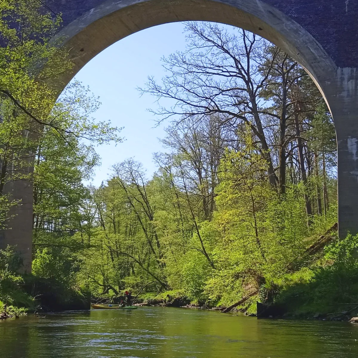 naglowek kwadrat5 🚣 MIKO Gródek - spływy kajakowe Wdą 🛶